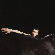 Bring Me The Workhorse